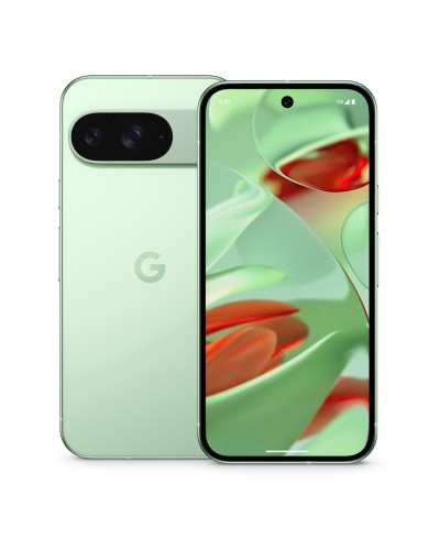 Google Pixel 9 12/256Gb Wintergreen