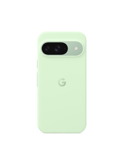 Google Pixel 9 12/256Gb Wintergreen
