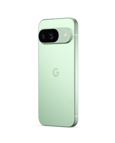 Google Pixel 9 12/256Gb Wintergreen