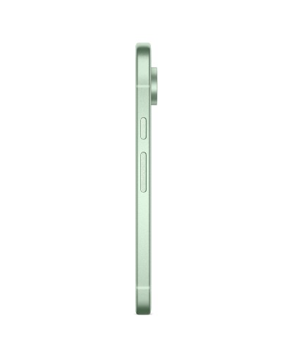Google Pixel 9 12/256Gb Wintergreen