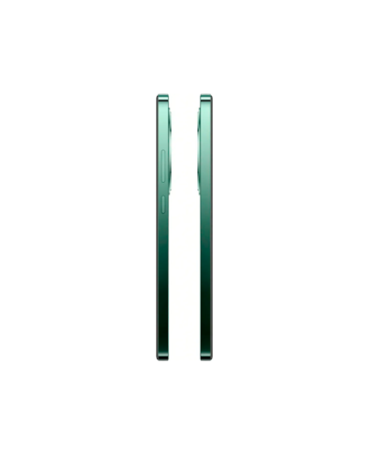 OPPO Reno 12 FS 5G 12/512GB Black Green