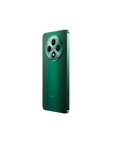 OPPO Reno 12 FS 5G 12/512GB Black Green