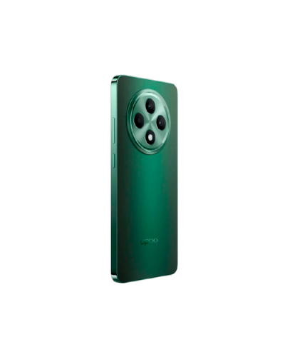 OPPO Reno 12 FS 5G 12/512GB Black Green