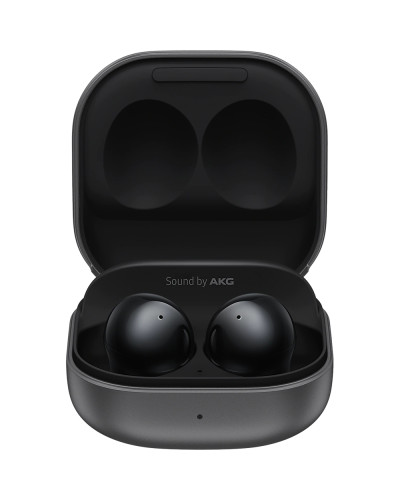 Samsung Galaxy Buds 2 (R177)